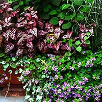 Seasonal Flowers, Plantings & Mulch